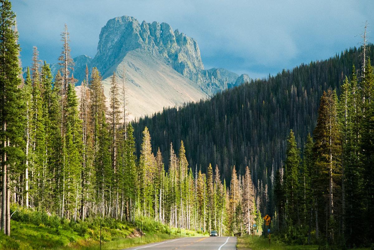5 Ways Getting Outside Is Good For Your Health
