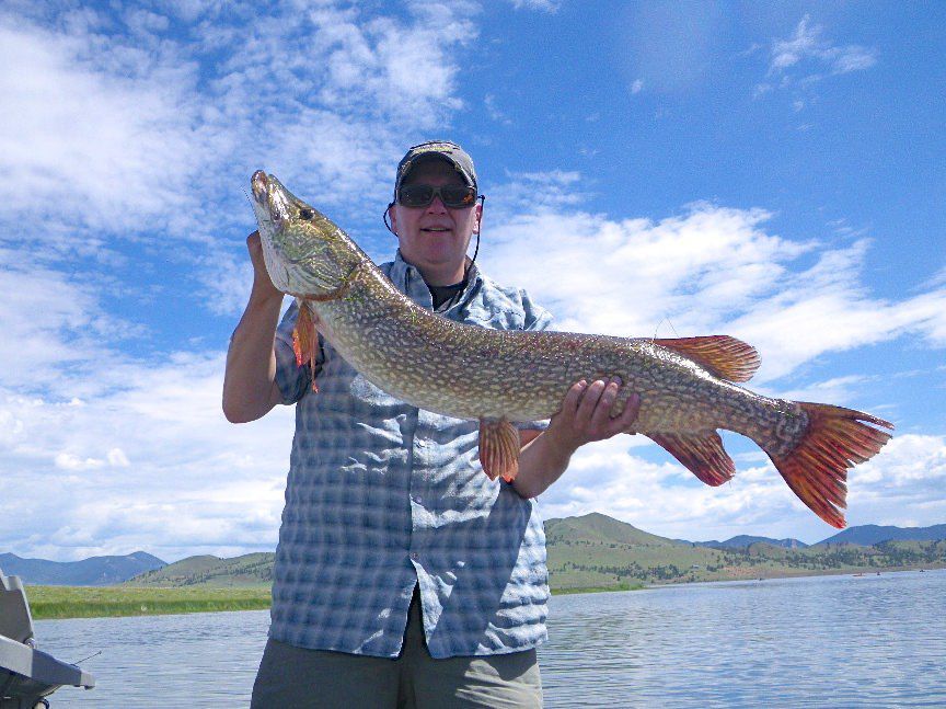South Platte River Too Crowded? We’ve Got Your Fishing Alternative