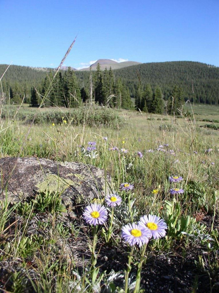 5 Classic Colorado Backpack Trips