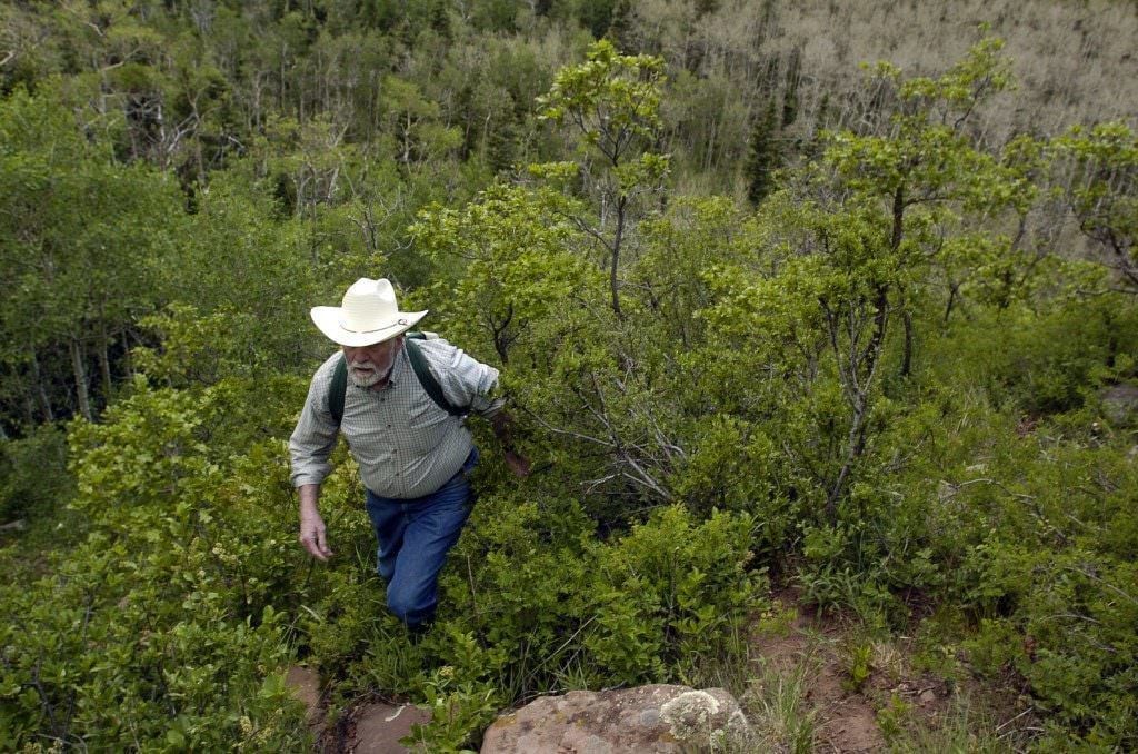 4 Colorado Hikes That Lead To Aircraft Crash Sites