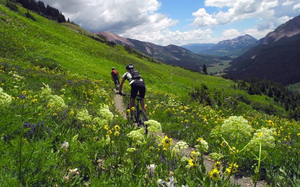 Mountain Biking 101