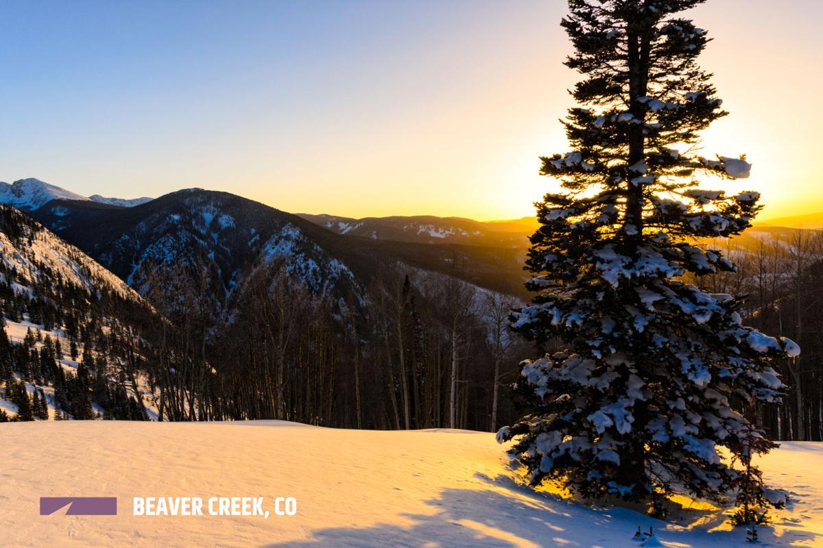 Beaver Creek Resort and Ski Area