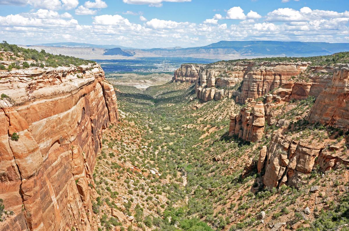Red Canyon Overlook