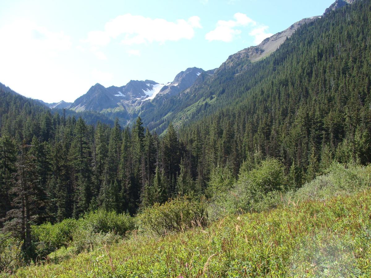 Mount Cameron