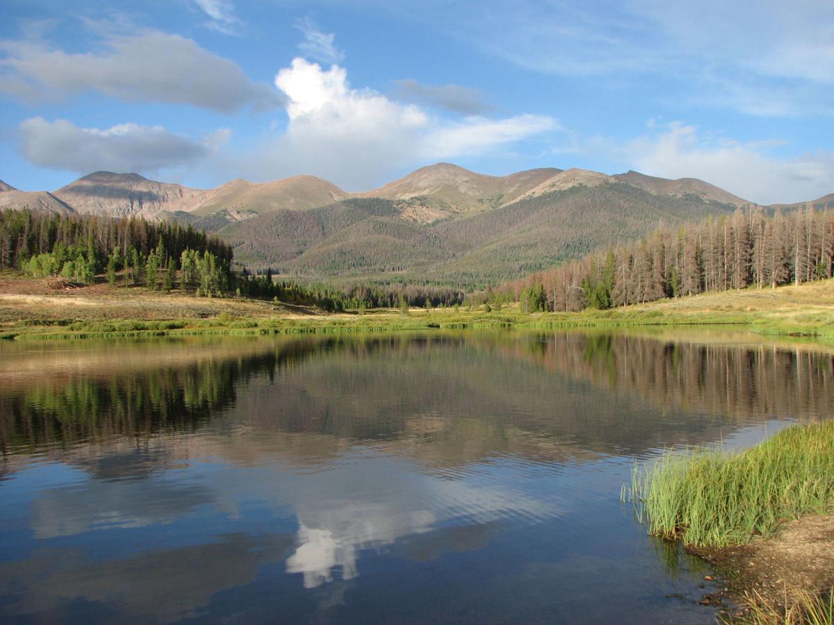 Michigan Creek Campground