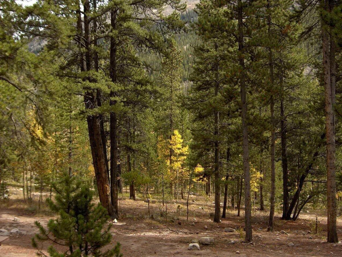 Iron City Campground