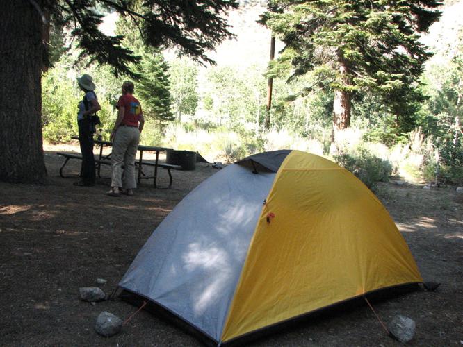 Aspen Campground (Pike – San Isabel)