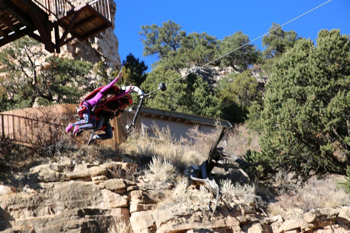 Terror-dactyl Free Fall in Virtual Reality