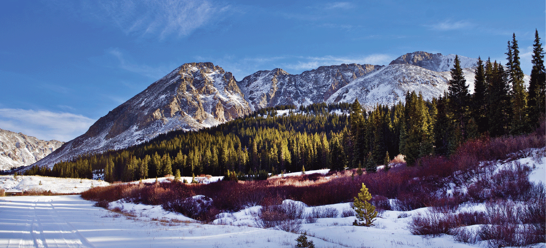 Leadville