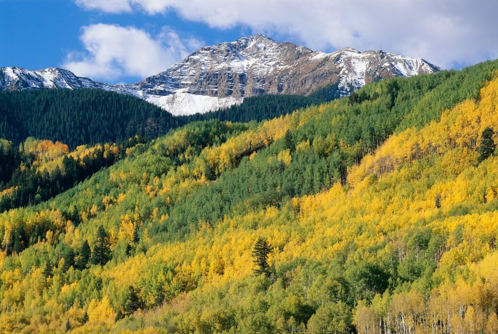 7 14ers that Barely Make the Cut
