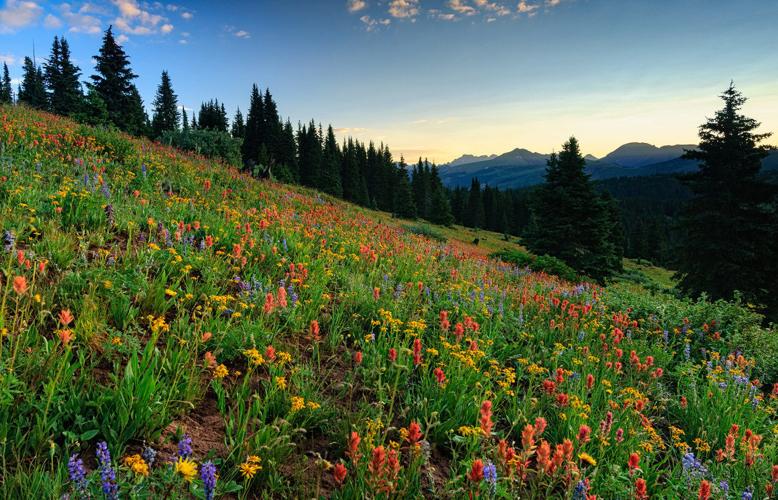 Shrine Pass