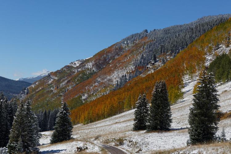 Shrine Pass