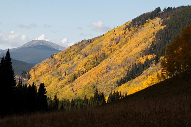Shrine Pass