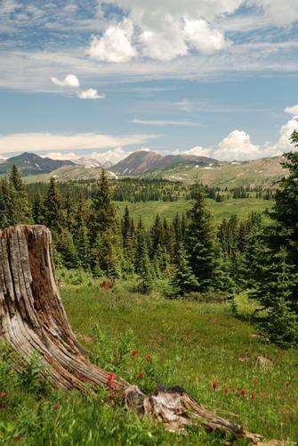 Shrine Pass