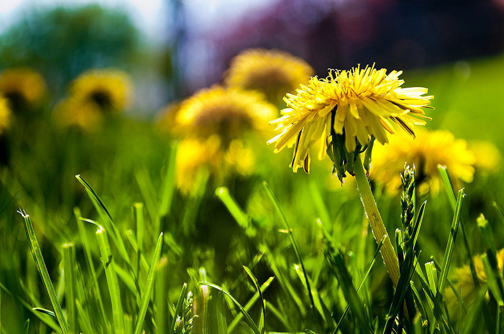 5 Things to Do This Mother’s Day Weekend
