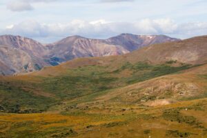 U.S. Forest Service Considering Permits to Mitigate Ecological Impact