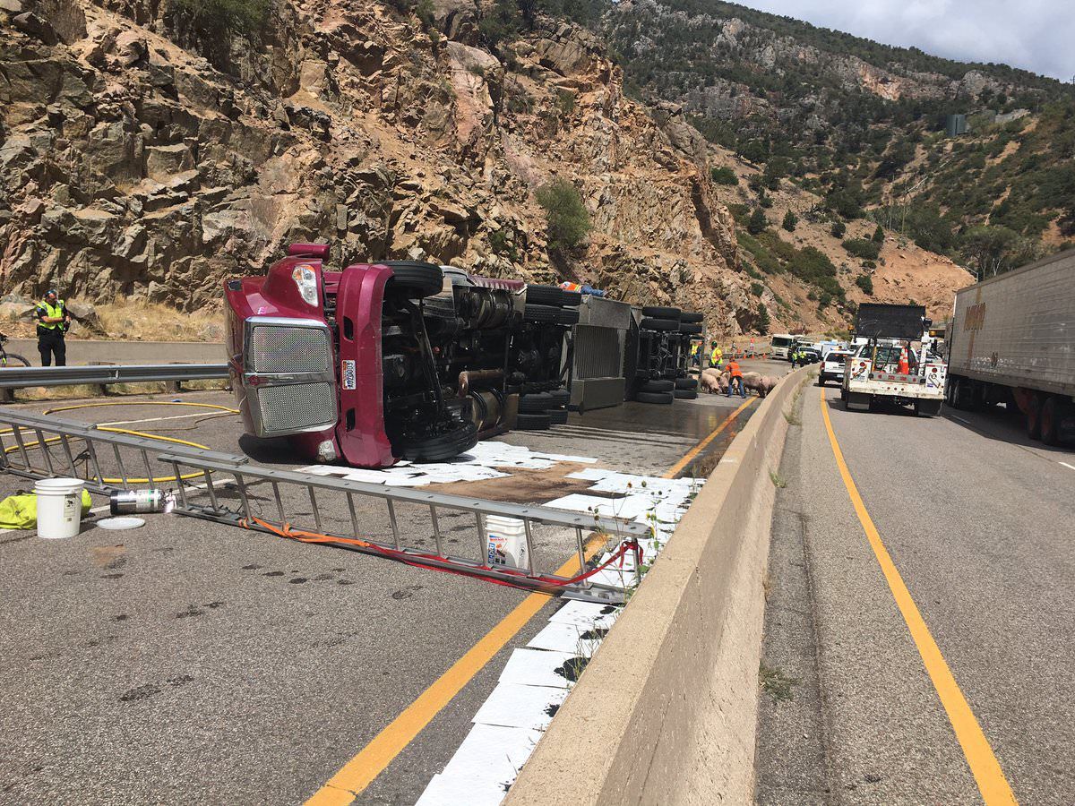 Truck Flips Spilling Dozens of Pigs onto I-70