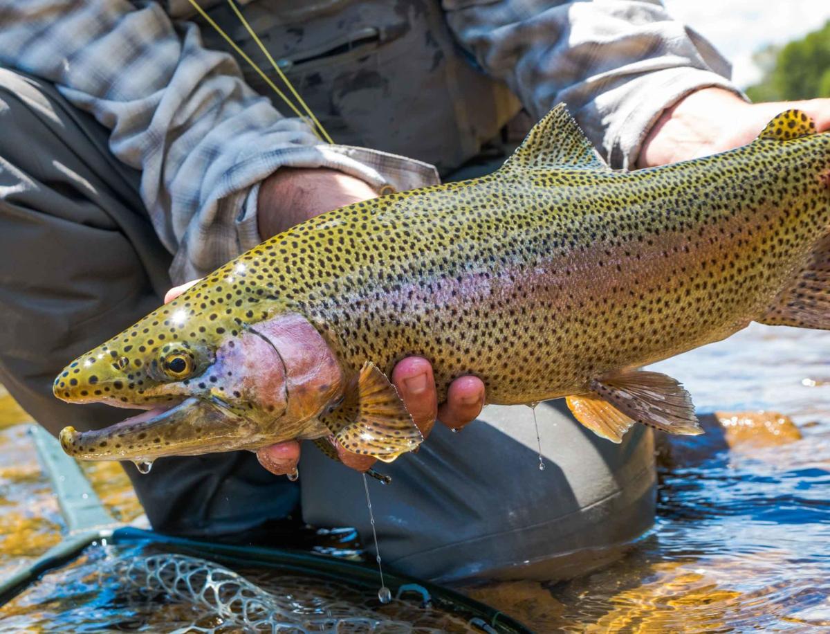 Tenkara Fishing Grows in Popularity in Colorado