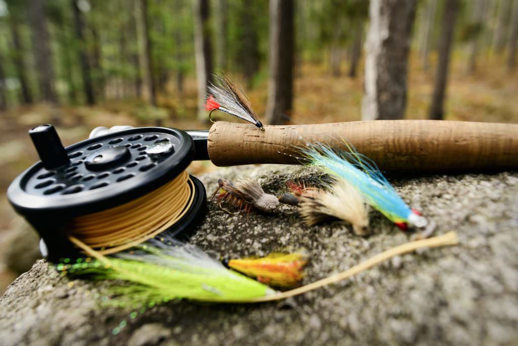 How to Get into Fly Fishing in Colorado