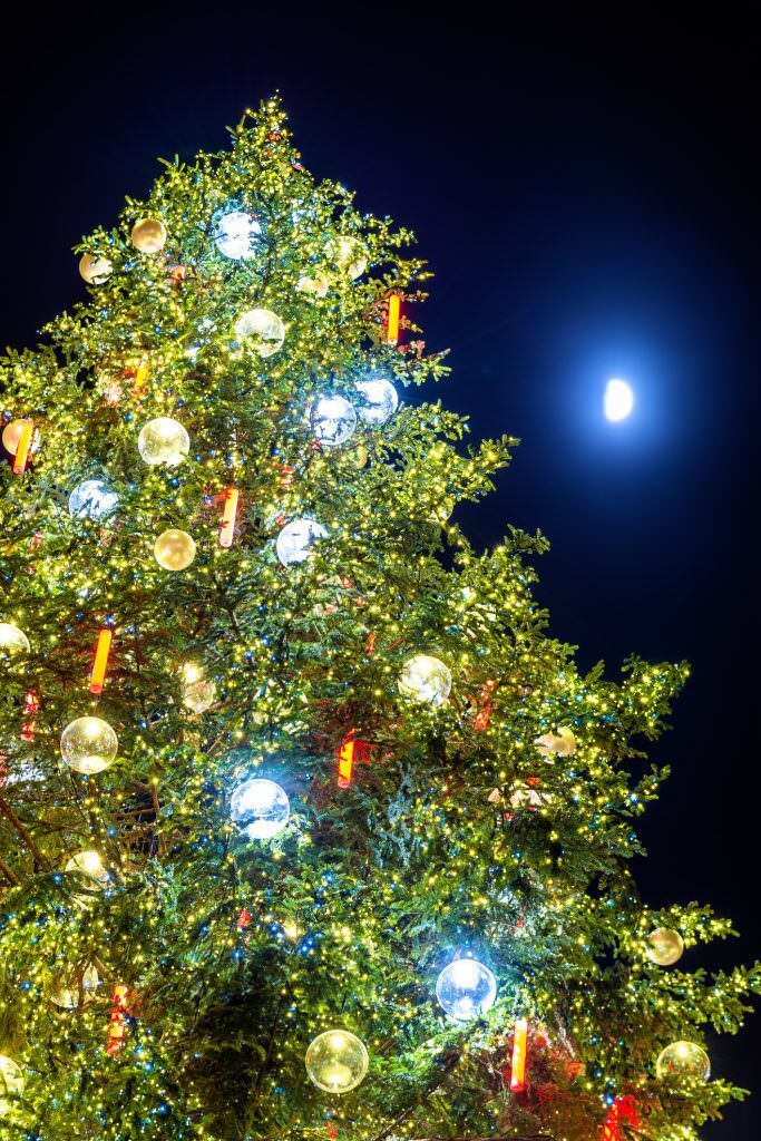 5 Colorado Events this Weekend, December 1 – 3