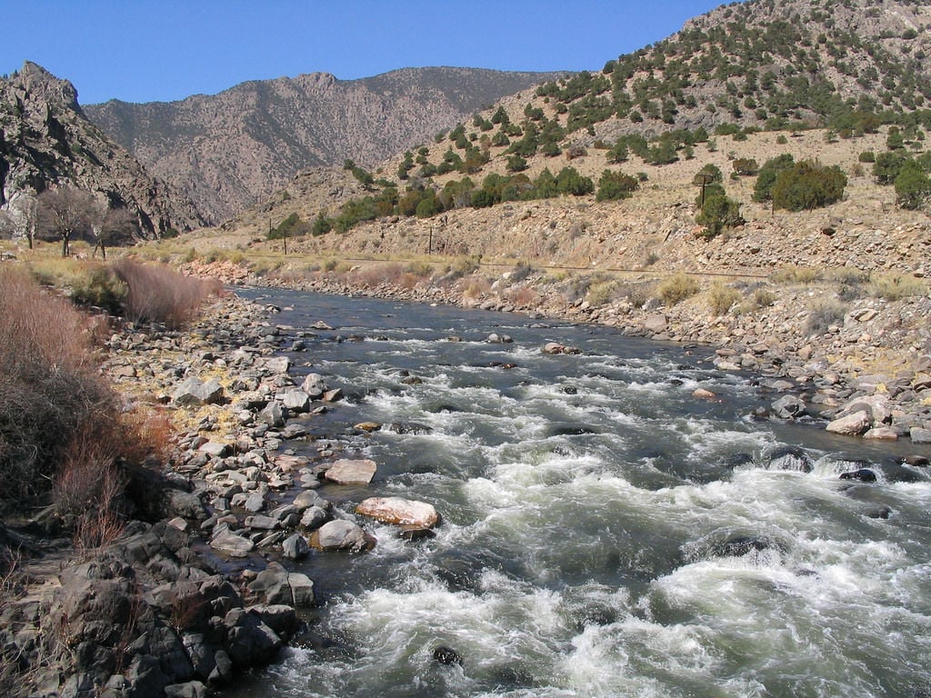 Top 5 Urban Fishing Spots in Colorado