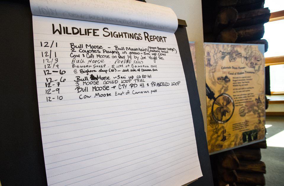 Searching for Moose in Colorado’s ‘Land of Hidden Treasures’