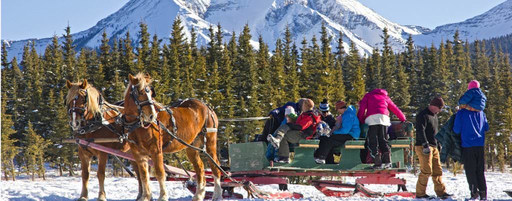 5 Colorado Events this Weekend, December 8 – 10