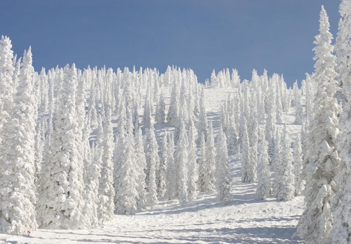 Double-Digit Snow Totals in Colorado Possible for Second Weekend In a Row