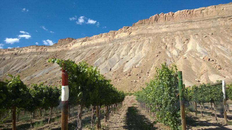 INSIGHTS: Trump sowing seeds of doubt in Colorado farm country