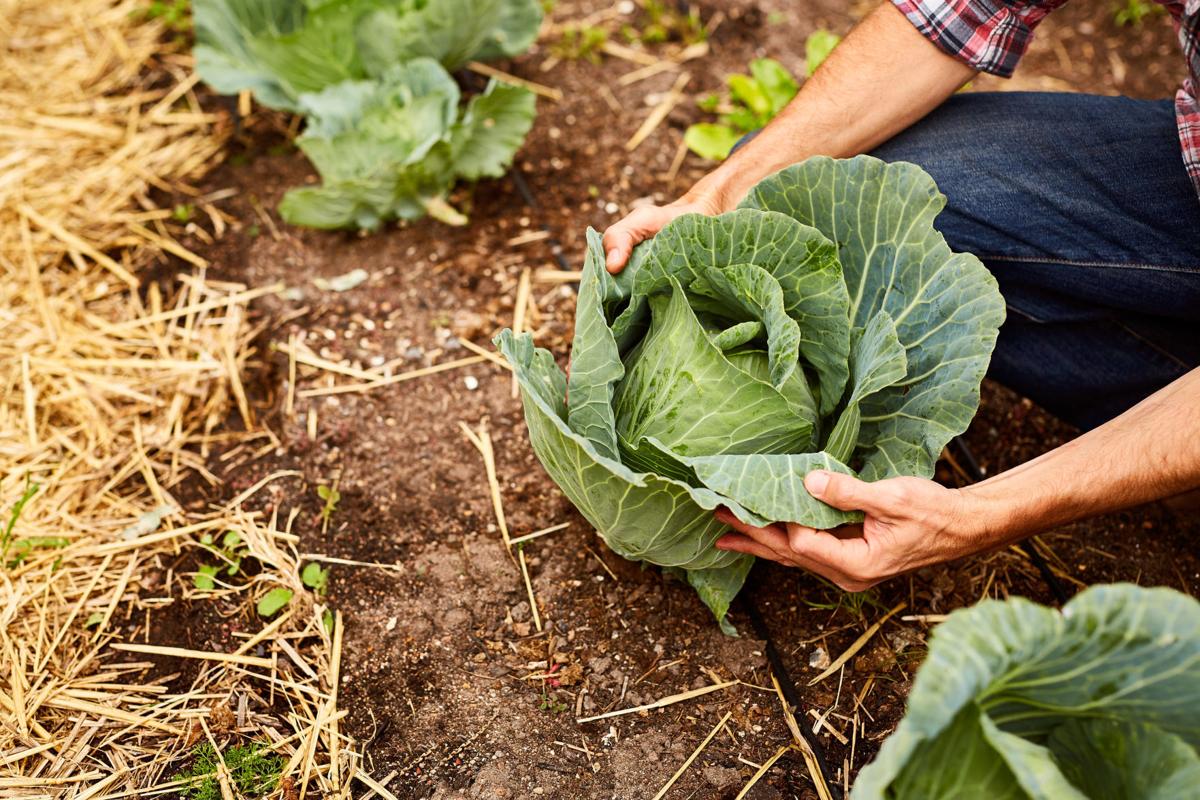 9 Outdoorsy Things to Try If You Need a New Hobby