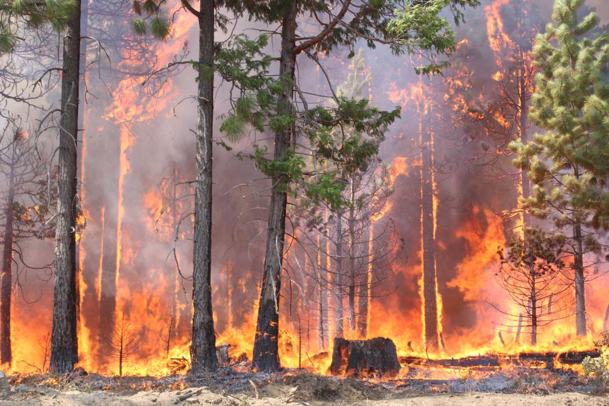 Why this Wildfire Season Will Be So Dangerous in Colorado