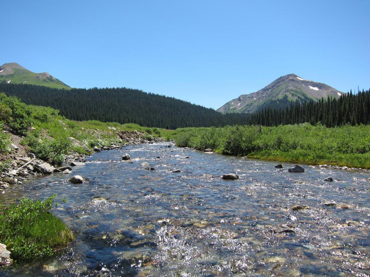 The Colorado Footprint: How Citizen Scientists are Keeping Colorado Waterways Healthy