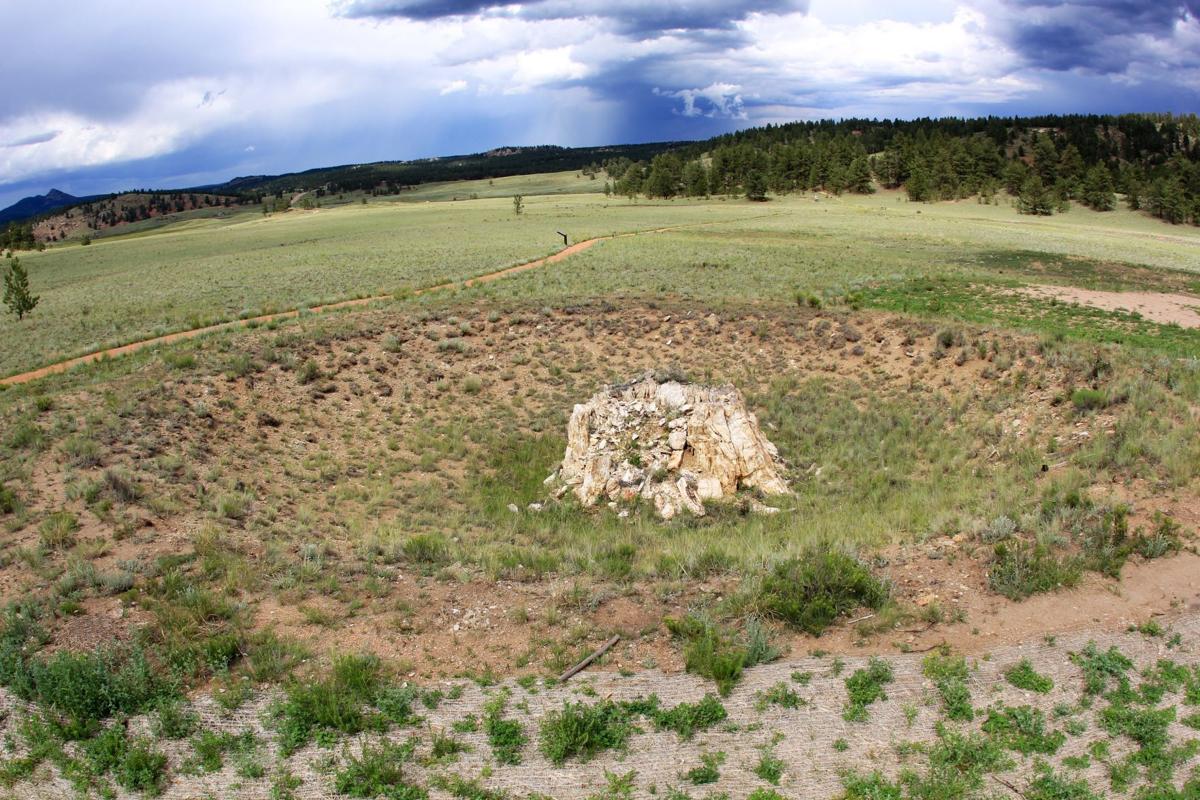Florissant Fossil Beds National Monument: 6 Things to Know Before You Go