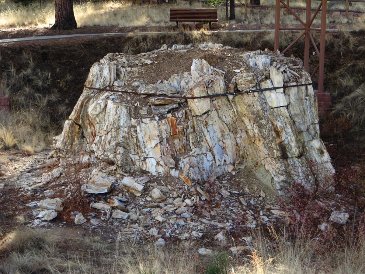 Florissant Fossil Beds National Monument: 6 Things to Know Before You Go