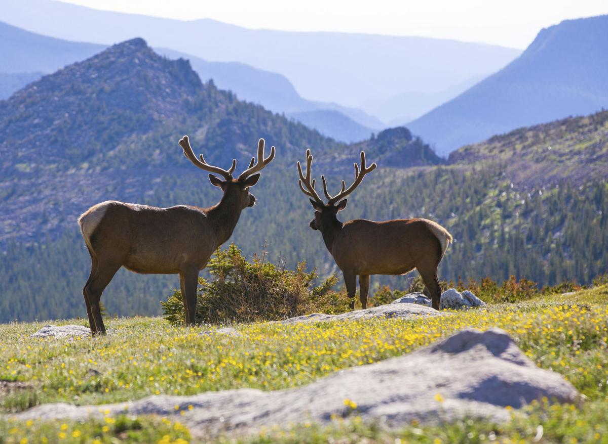 Rocky Mountain National Park: 6 Things to Know Before You Go