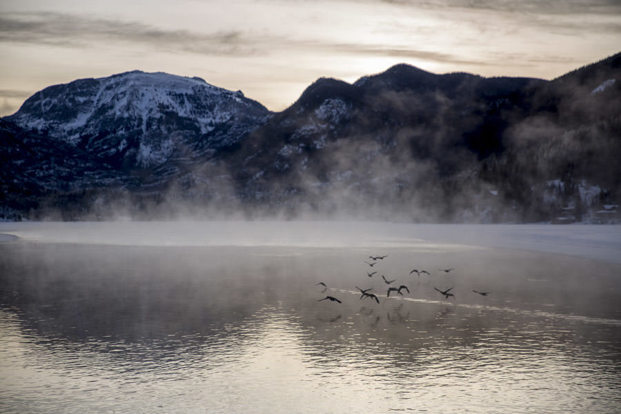 7 Places in Rocky Mountain National Park to Capture the Perfect Photo