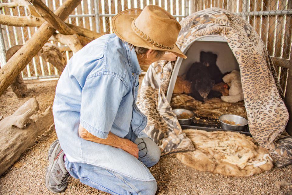 This Colorado Couple Cares for Bears in Need
