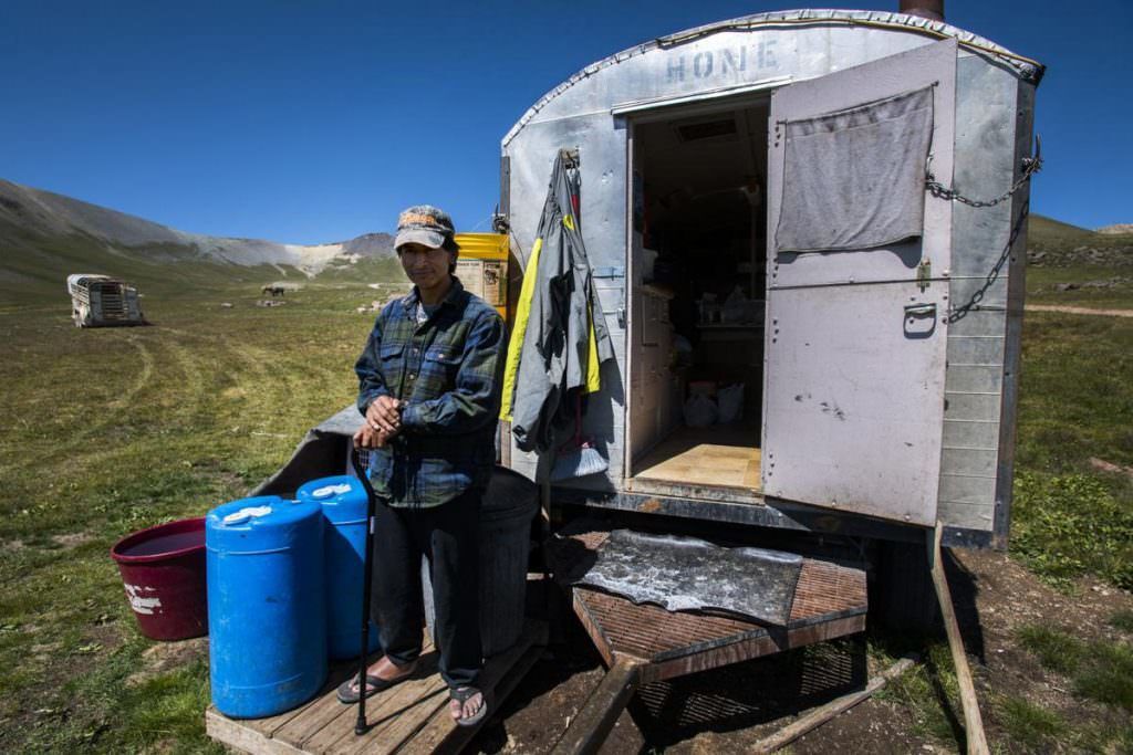 An Inside Look at Colorado’s High-Altitude Shepherds