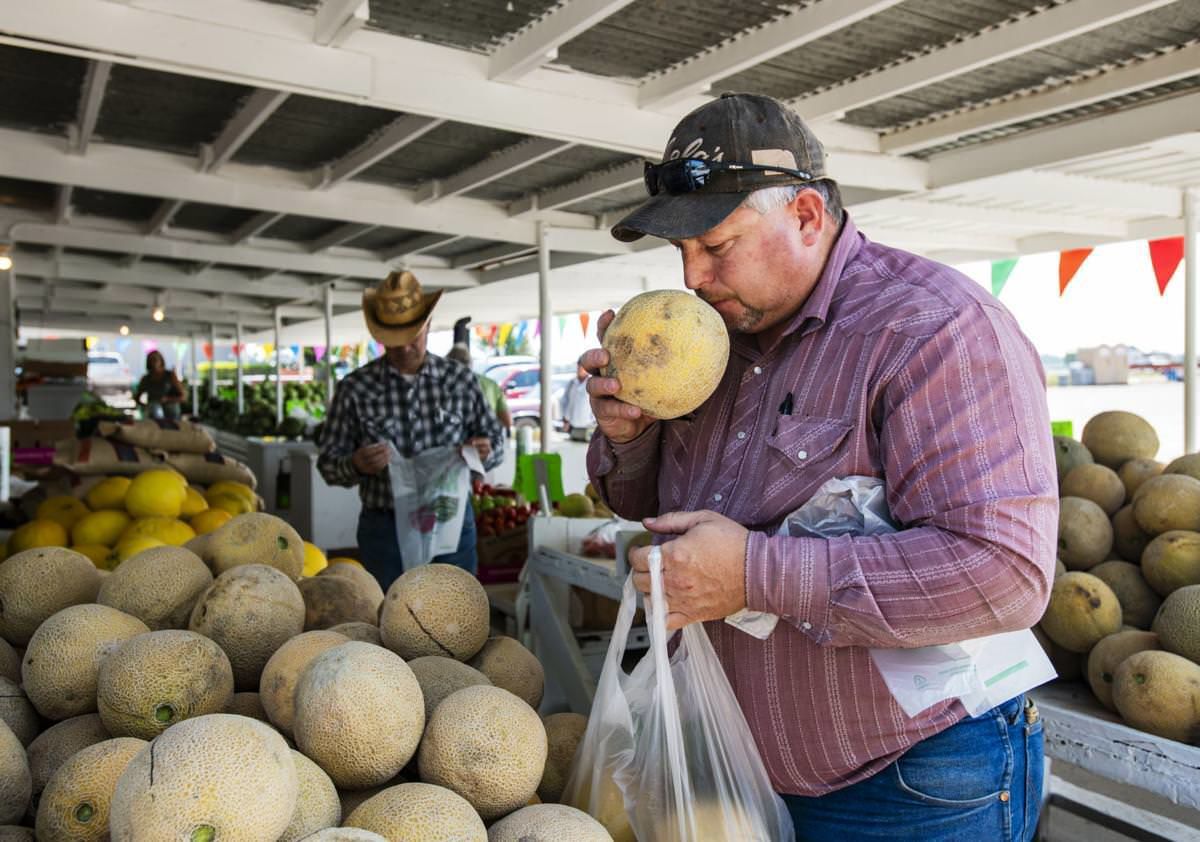 An Inside Look at Colorado’s Famous Rocky Ford Melons