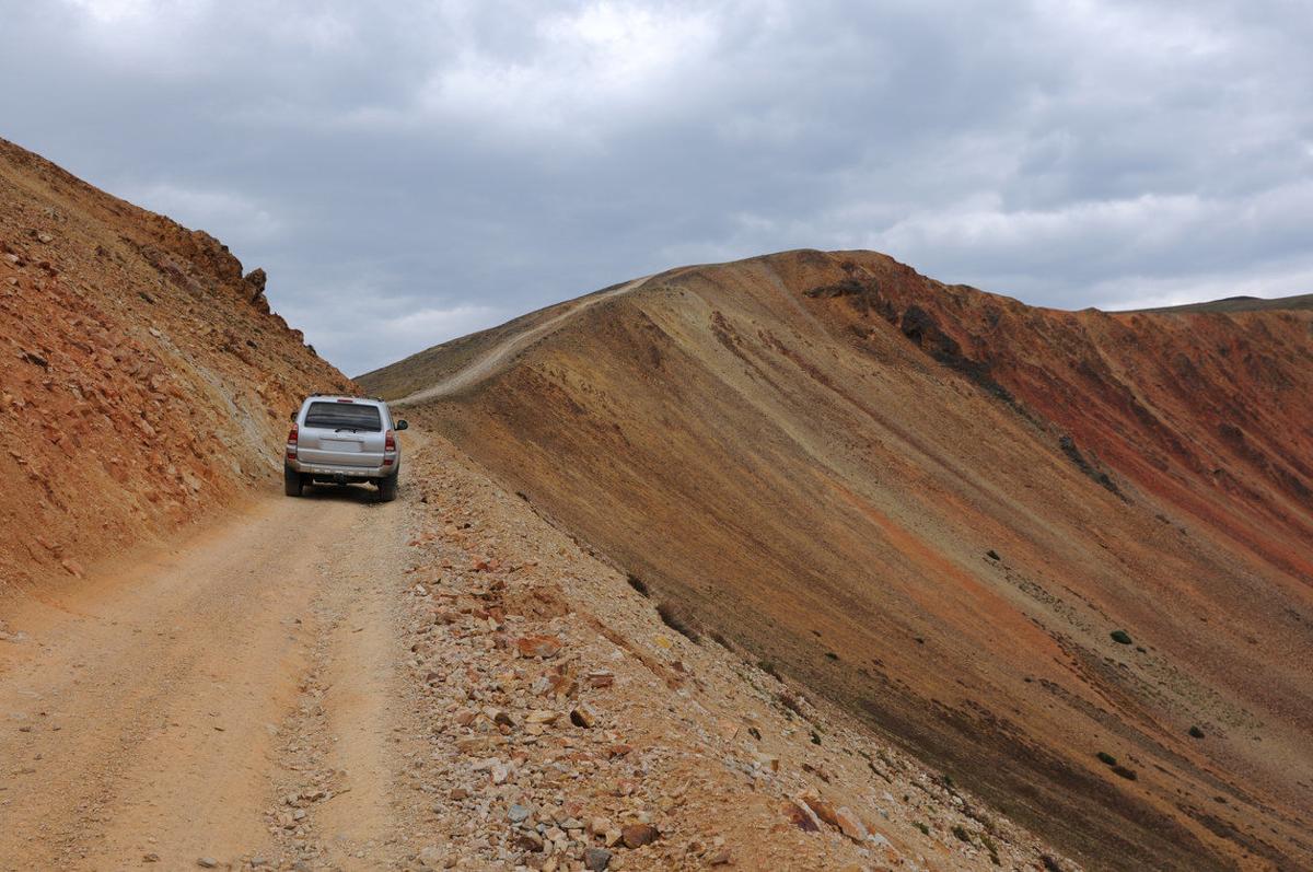 Should We Alter Nature to Make it Safer for the Public?