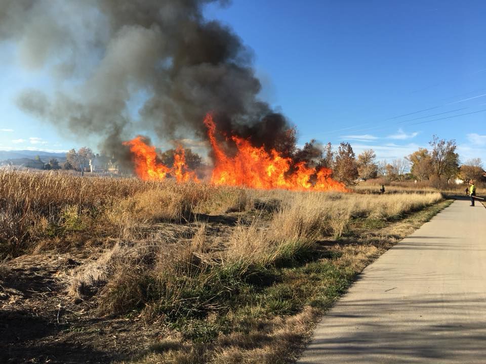 11-year-olds likely to face arson charges after fire sparks at Colorado lake