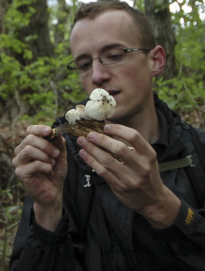 Mushroom Hunting a Growing Trend in Colorado