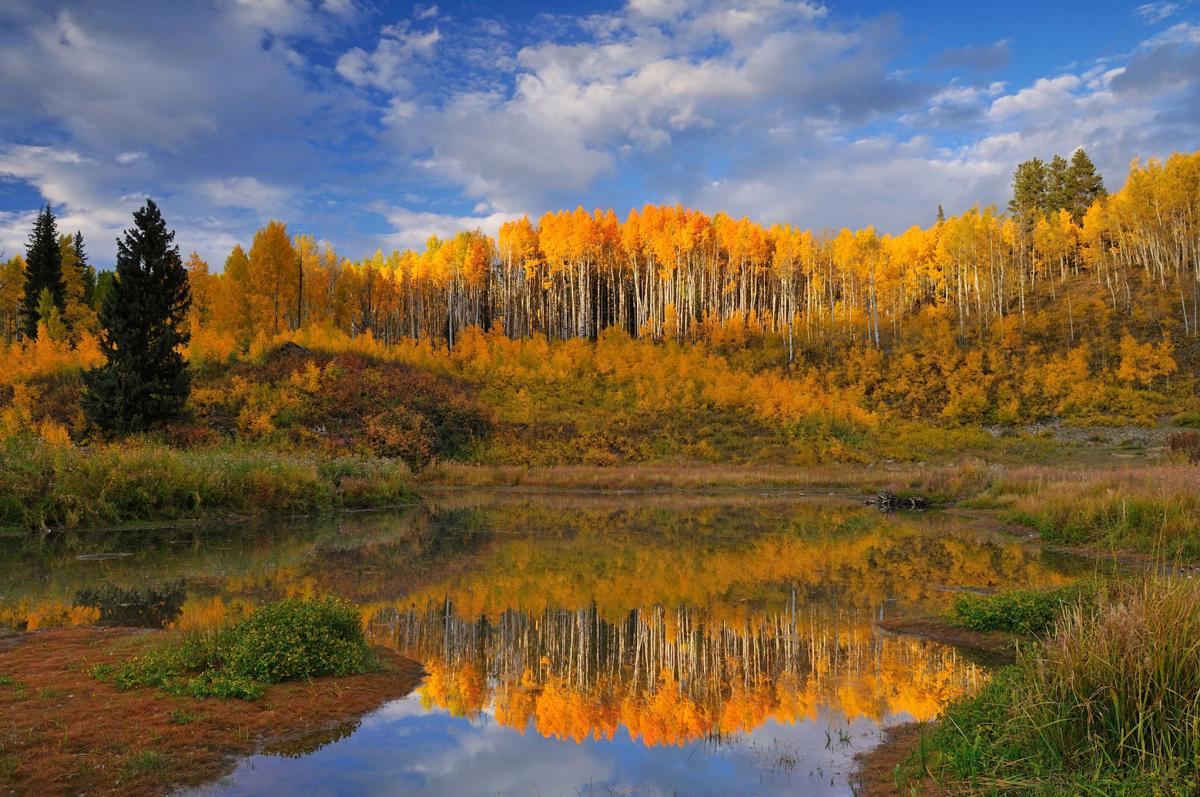 Finding Colorado’s Fall Colors Not an Exact Science