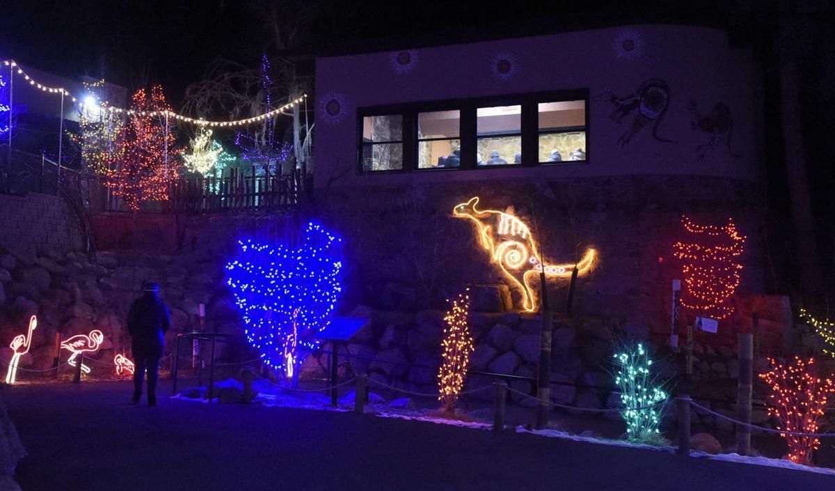 Animal sculptures light up the night at “Electric Safari”