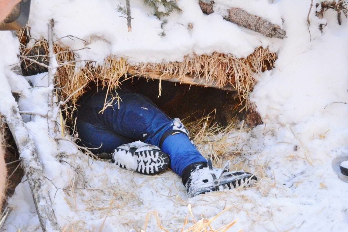 8 orphaned bear cubs safe in artificial dens thanks to CPW