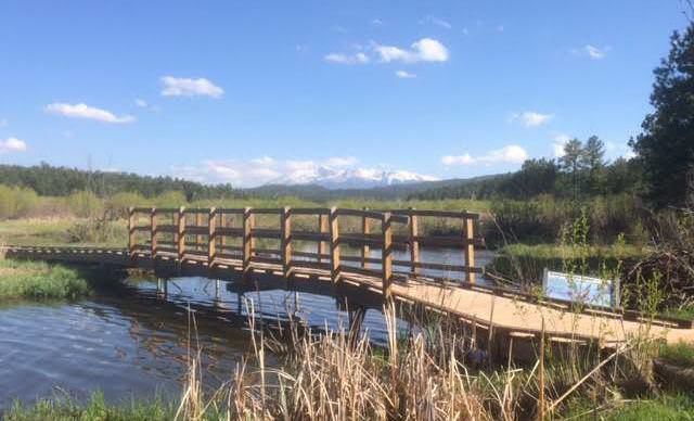 11 Family-Friendly Hikes in the Colorado Springs area