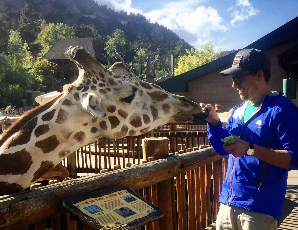 Hand-feed giraffes at this Colorado destination