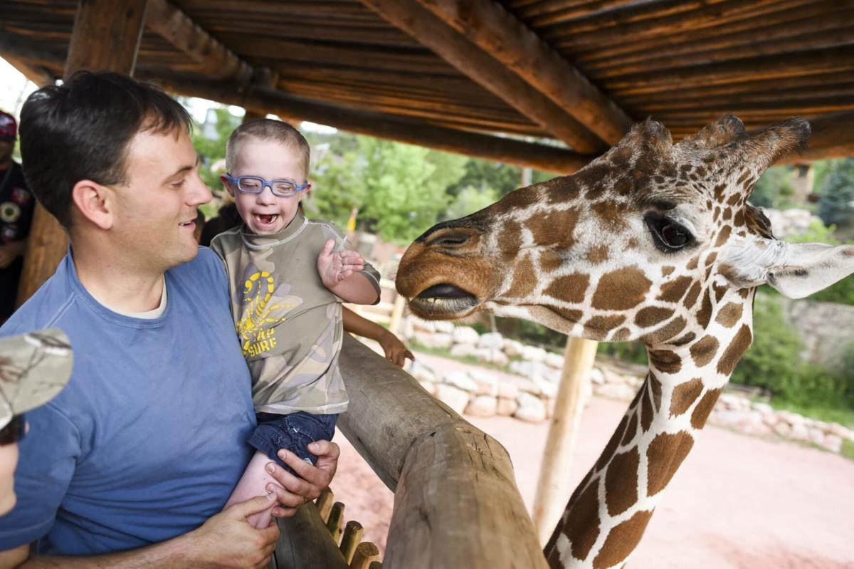 Hand-feed giraffes at this Colorado destination
