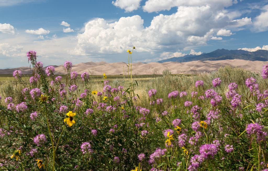 The Ultimate Mountain Town Road Trip Around Colorado