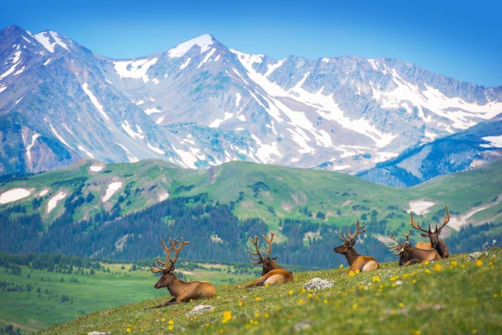 The Ultimate Mountain Town Road Trip Around Colorado